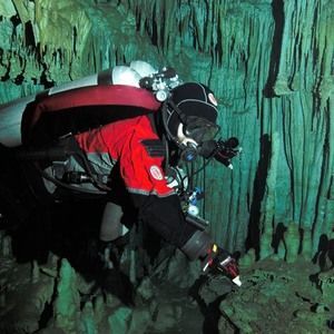 Meet your Posher, Leo